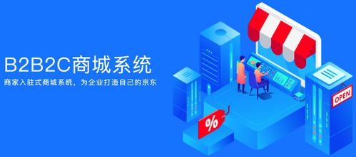 b2b2c多商户商城系统助力企业更好的发展渠道